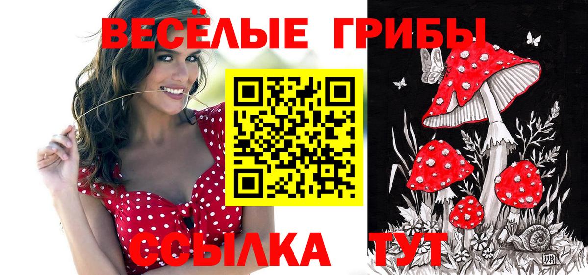 наркота  Вход с VPN  Вичуга  Псилоцибиновые грибы MAGIC MUSHROOMS 