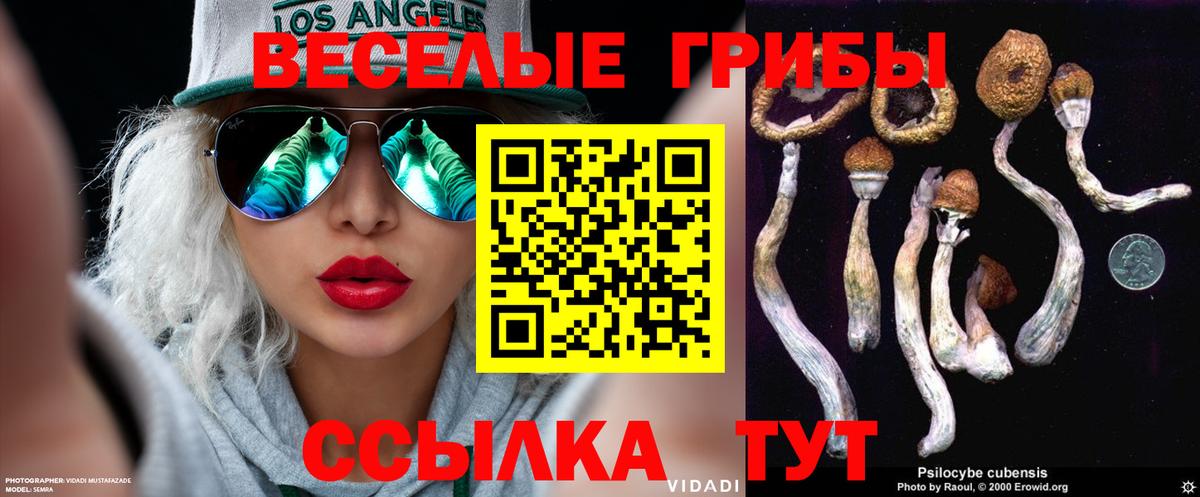 Галлюциногенные грибы Psilocybe Вичуга